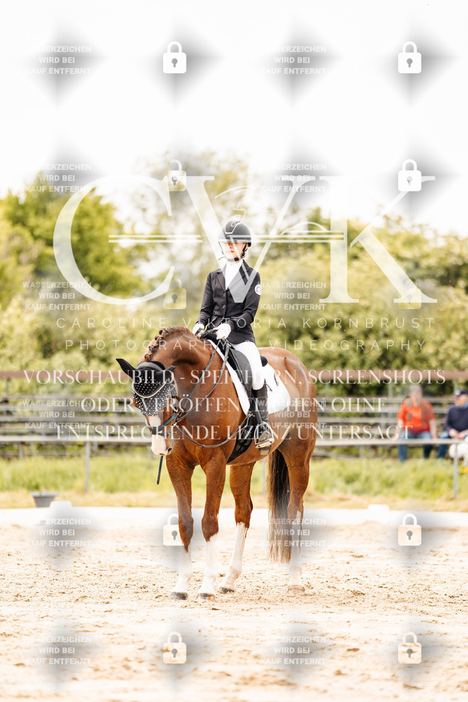CK903023 | Turnierfotografie Pferdefotografie Trier Rheinland-Pfalz Pferdesport Reitsport Tierfotografie Sportfotografie Pferdevideo Pferdevideografie Equestrianvideography equestrianphotography  - Realisiert mit Pictrs.com