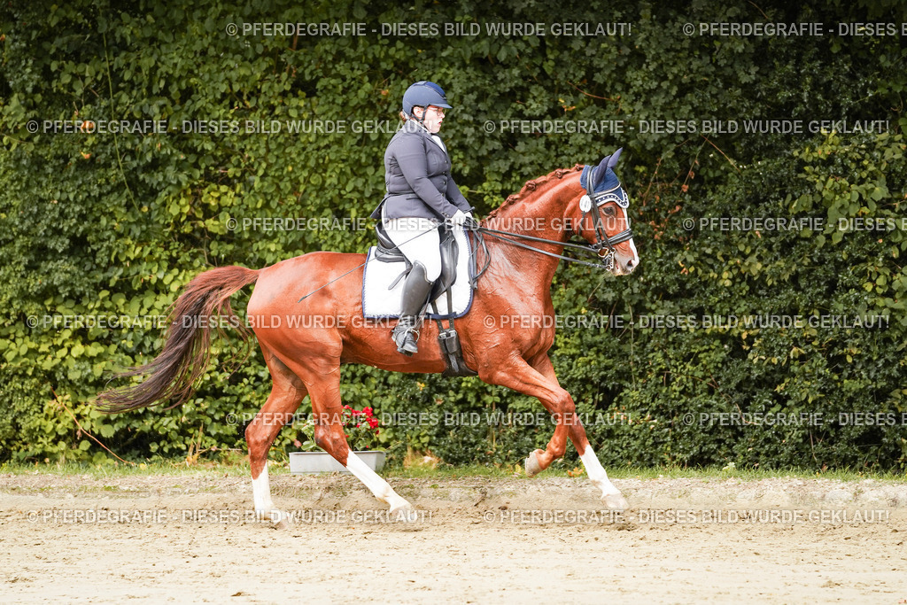 DSC03240 | Pferdegrafie