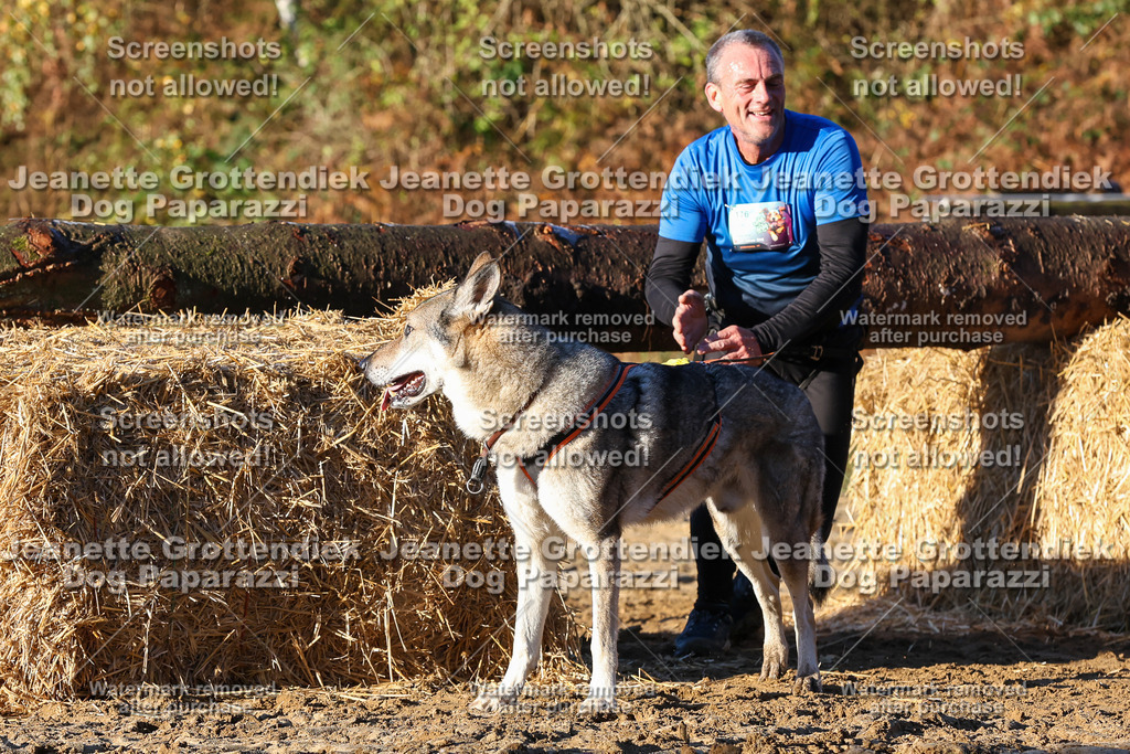 Dog Paparazzi - Strongdog 10-25-1030 | Dog Paparazzi Jeanette Grottendiek Fotografie & Videografie - Realisiert mit Pictrs.com