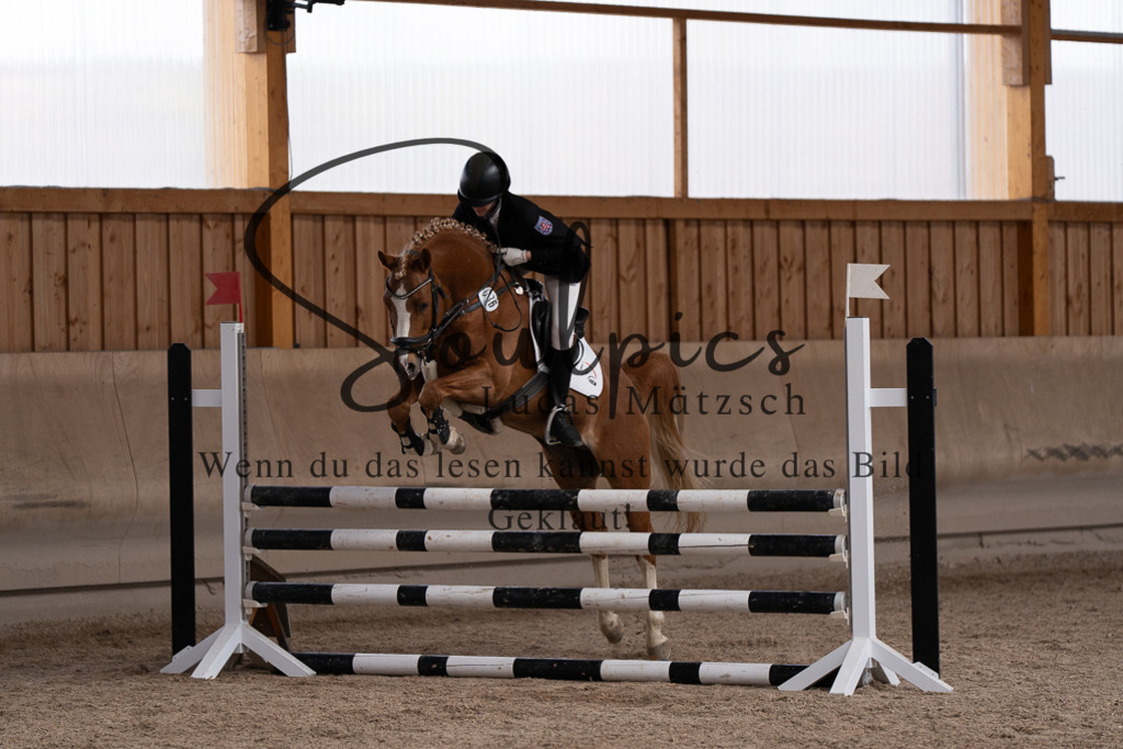 A7507878 | Pferdefotograf