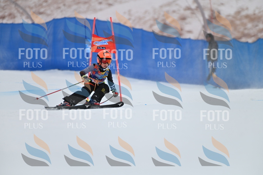 BGV_1748 | holidayphoto