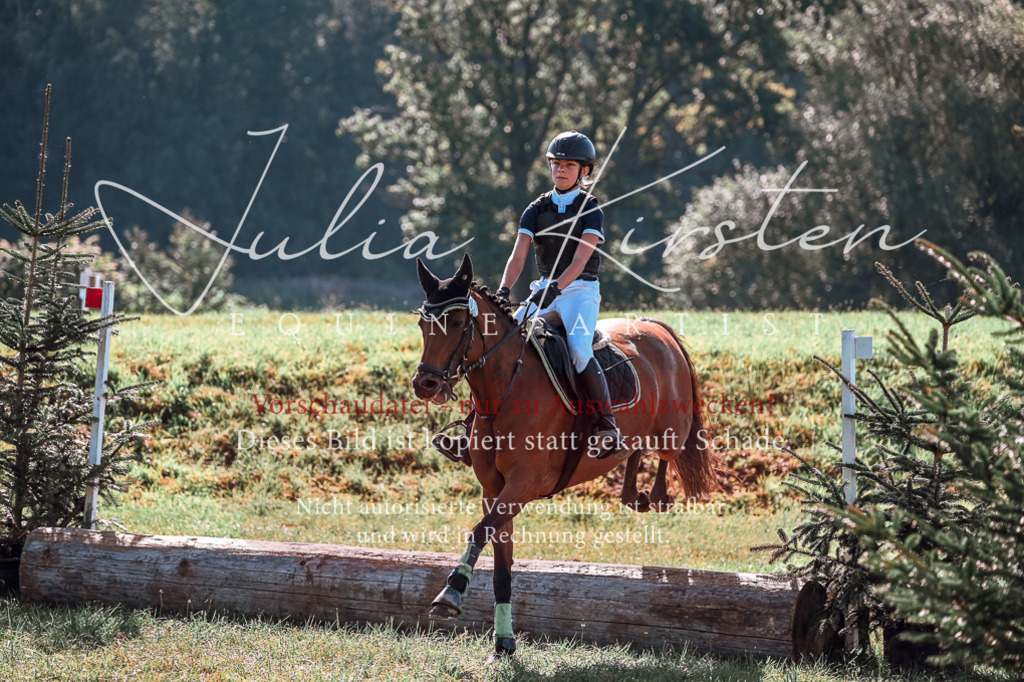 DSC_0958 | Pferde- und Turnierfotografie in Westsachsen. Pferdeportraits, Auftragszeichnungen und intuitive Kunst.