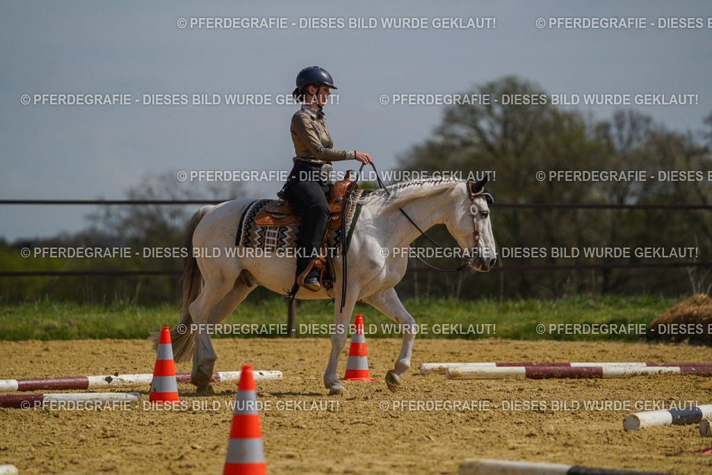 DSC04736 | Pferdegrafie