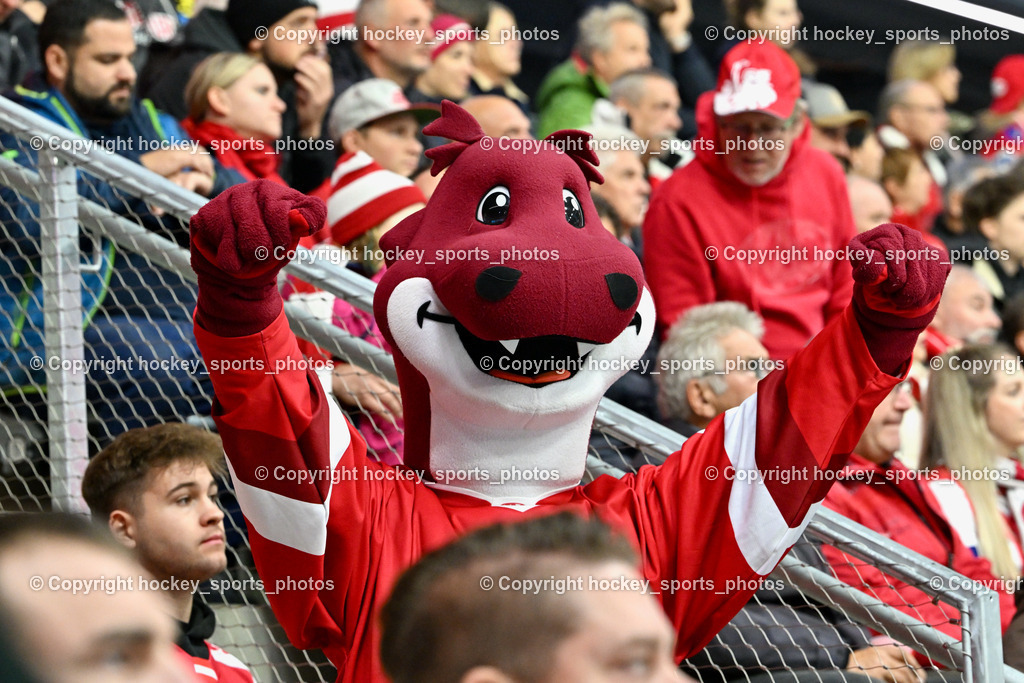 EC KAC vs. EC IDM Wärmepumpen VSV 5.11.2023 | Lindi EC KAC Maskottchen