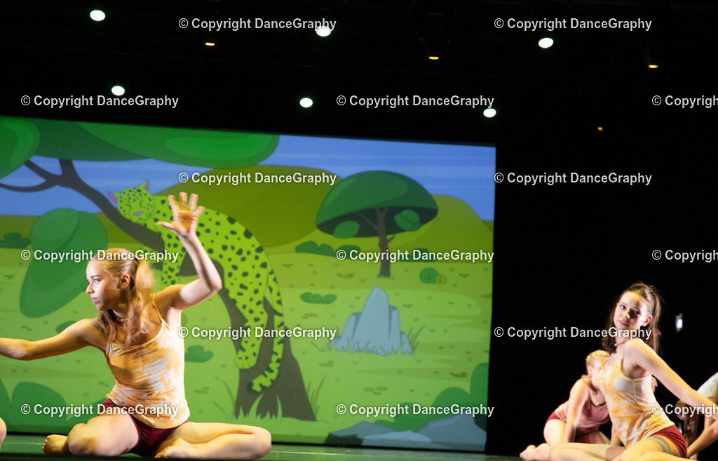 GPHY6338 | DanceGraphy - Realisiert mit Pictrs.com