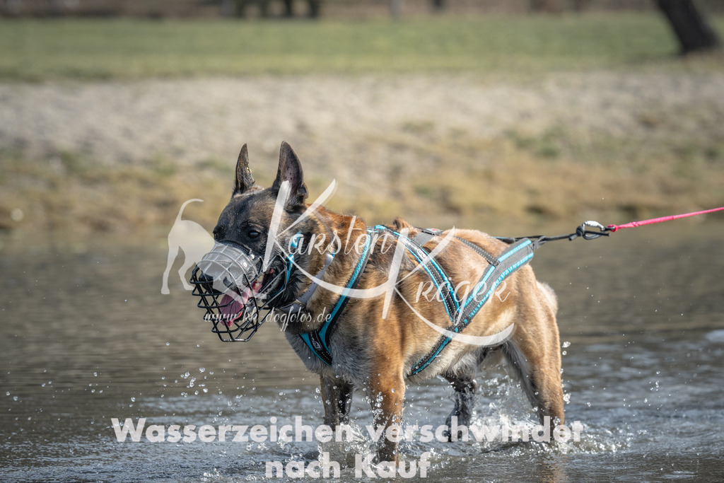 1045_ZZ99550 | kk-dogfotos