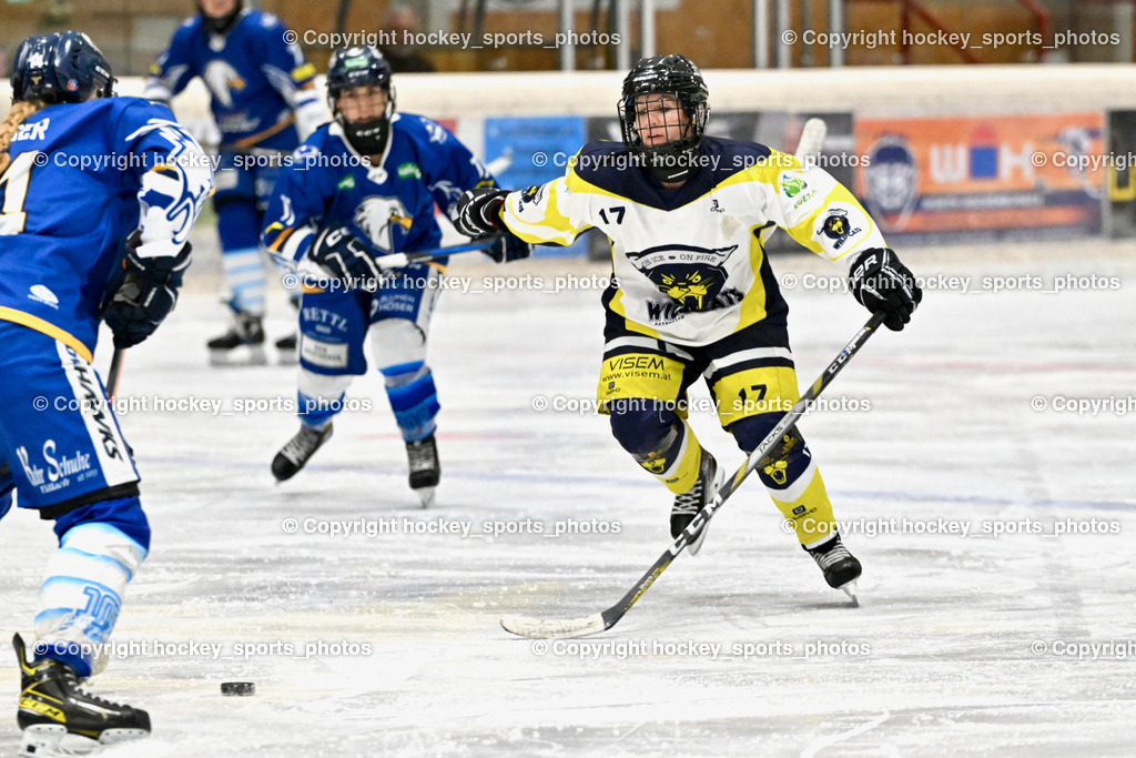 Wildcats Paternion vs. Lady Hawks  | #17 Kleindienst-Anton Anita Wildcats Paternion, Wildcats Paternion vs. Lady Hawks , Wildcats Paternion vs. Lady Hawks  am 27.01.2025 in Spittal an der Drau (Eissportzentrum Spittal), Austria, (Photo by Bernd Stefan)