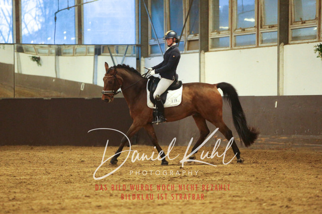 IMG_6998 | Turniersportfotografie; Pferdefotografie; Dressurfotografie