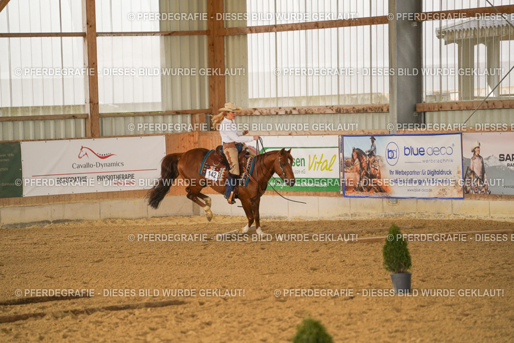 DSC02433 | Pferdegrafie