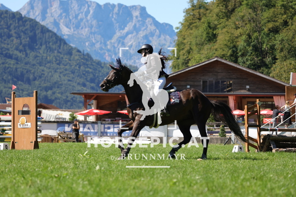 0P6A6806 | Willkommen bei Brunnmayr - Design & Fotografie – Ihrem Spezialisten für Reitturniere und Pferdeveranstaltungen in Oberösterreich, Salzburg und Bayern! Seit über 17 Jahren sind wir leidenschaftlich dabei.