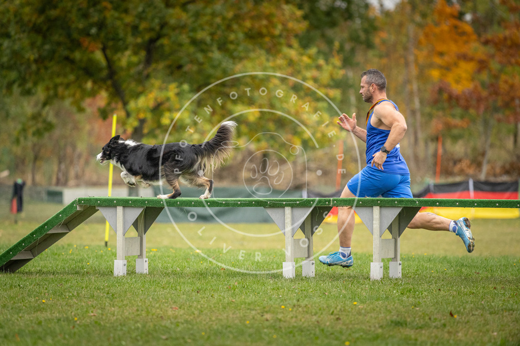 Pfotenfotografie_DV3A9741 | Hundefotografie, Tierfotograf, Pfotenfotografie, Fotoshooting Hund, Hunde Portrait, Hundesport, Hundeportraits, Heideshooting, Hunde, Sportfotograf, Hundefotograf, Turnierhundsport, THS,  - Realisiert mit Pictrs.com