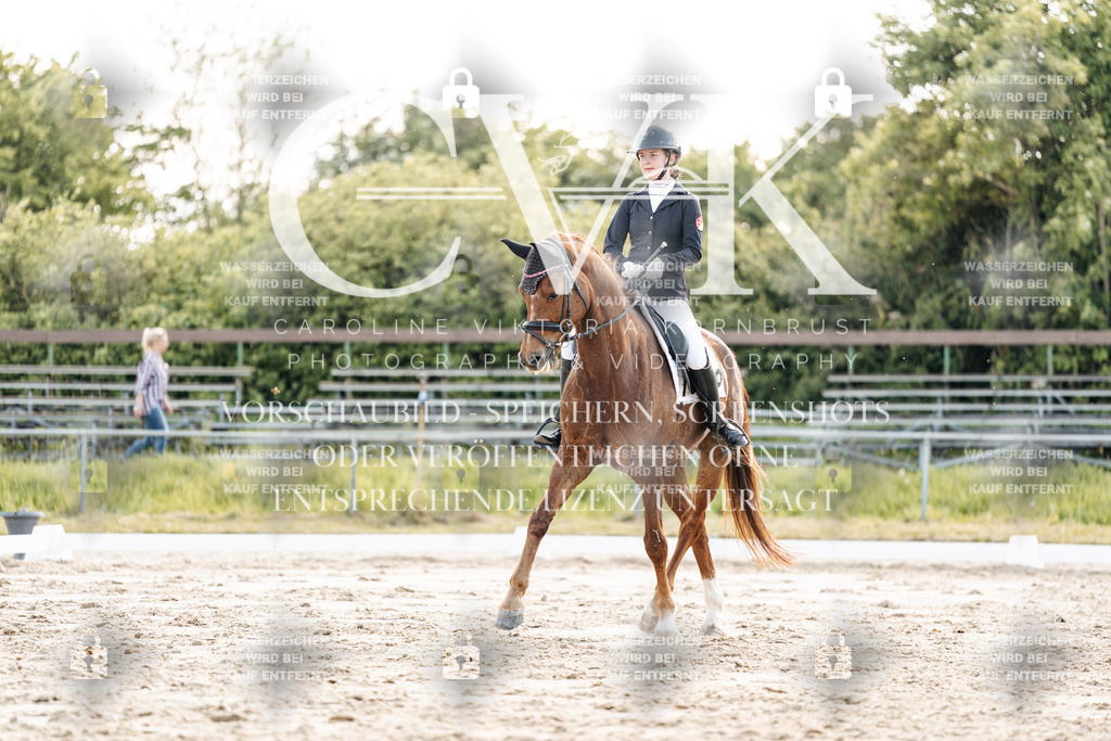 CK909715 | Turnierfotografie Pferdefotografie Trier Rheinland-Pfalz Pferdesport Reitsport Tierfotografie Sportfotografie Pferdevideo Pferdevideografie Equestrianvideography equestrianphotography  - Realisiert mit Pictrs.com