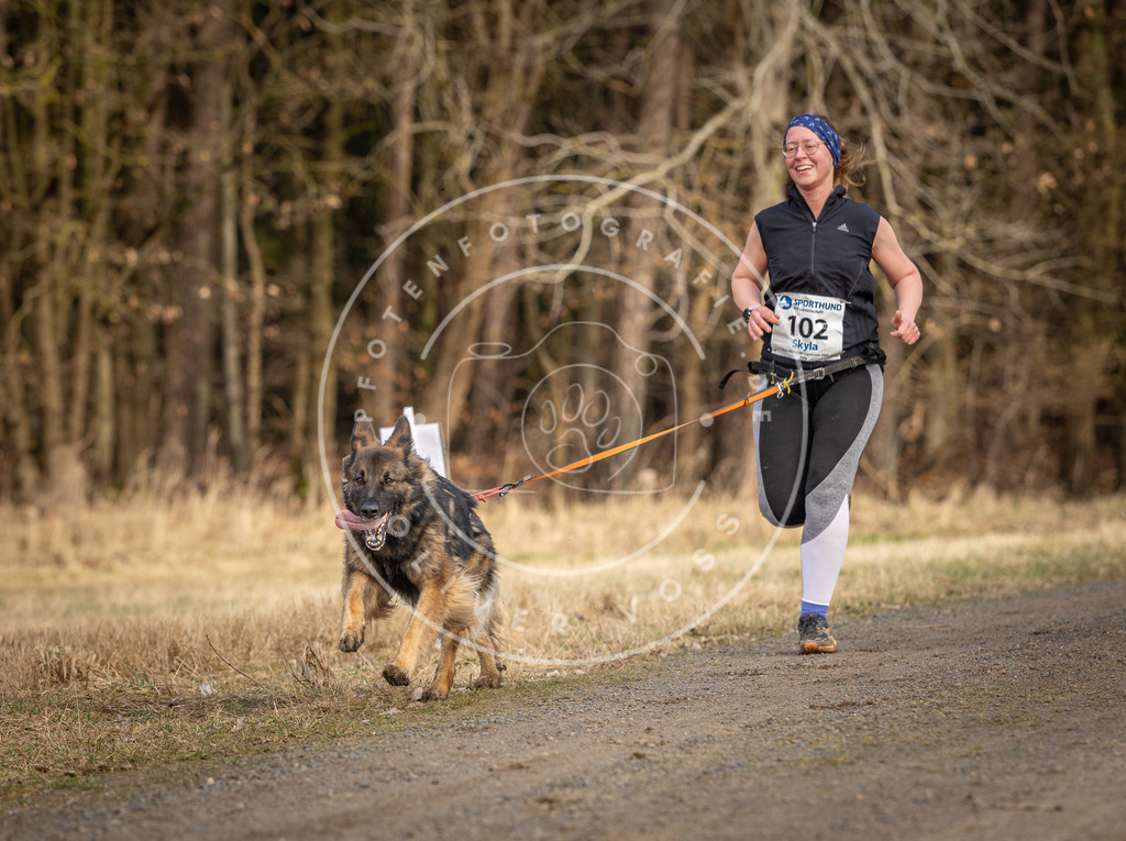 DV3A4074 | Hundefotografie, Tierfotograf, Pfotenfotografie, Fotoshooting Hund, Hunde Portrait, Hundesport, Hundeportraits, Heideshooting, Hunde, Sportfotograf, Hundefotograf, Turnierhundsport, THS,  - Realisiert mit Pictrs.com