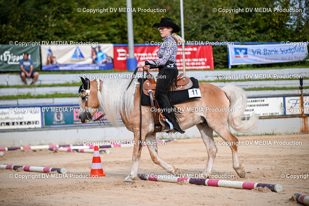 ZS1_3380 | dv-media-shop - Realisiert mit Pictrs.com