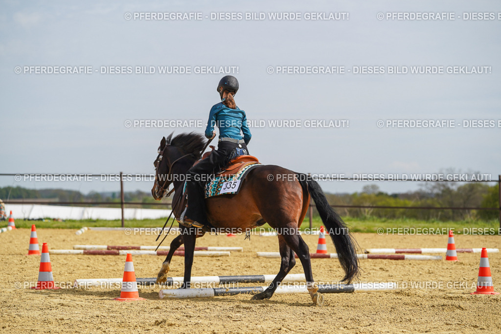 DSC04322 | Pferdegrafie