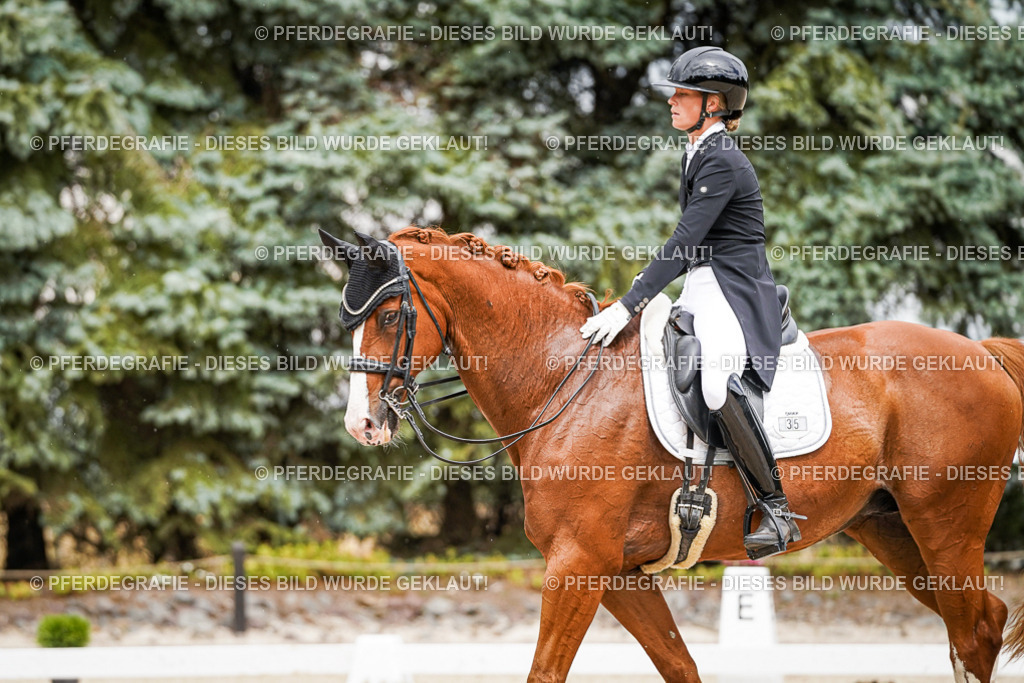 DSC05738 | Pferdegrafie