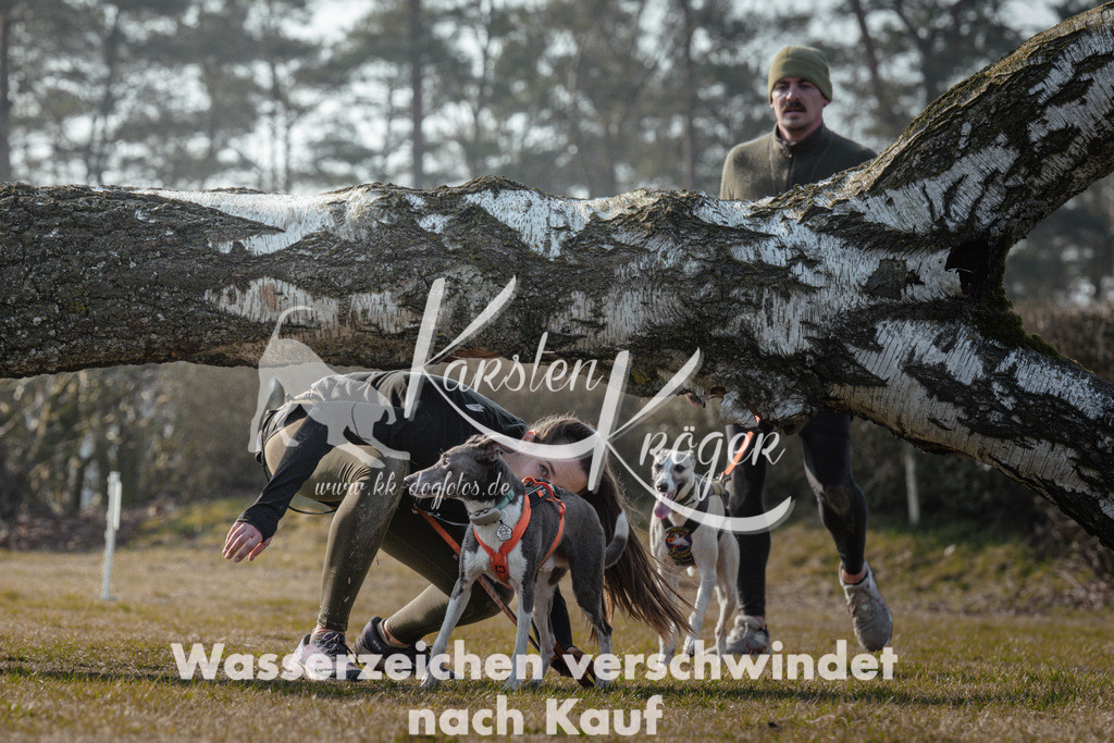 1012_ZZ91811 | kk-dogfotos