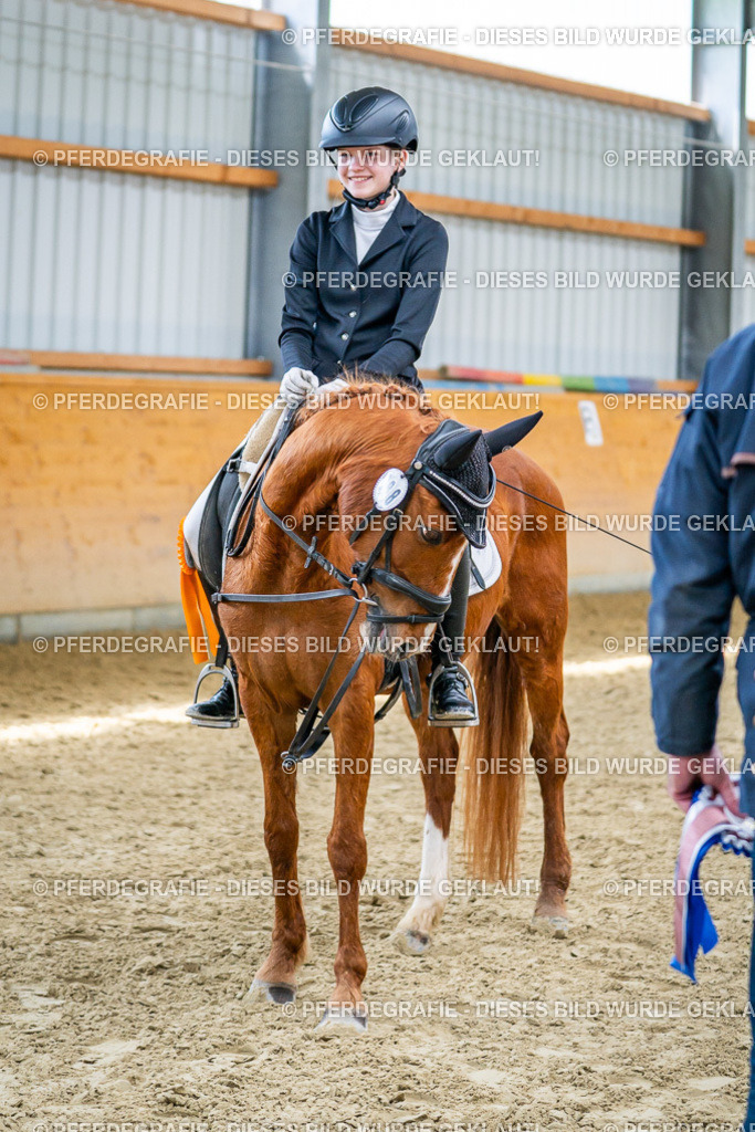 DSC03824 | Pferdegrafie