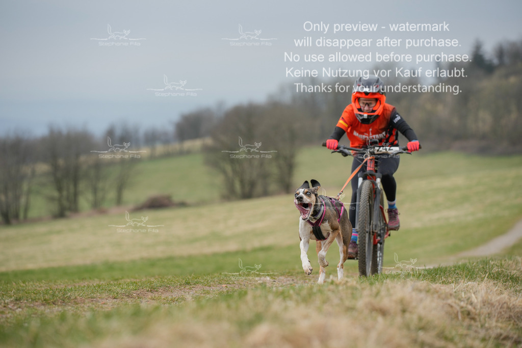 BikeSA-246 | stephaniefillaphotographie - Realisiert mit Pictrs.com