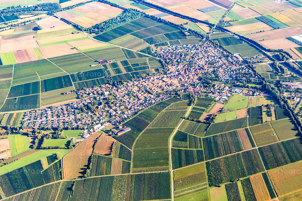 Luftbild: Ortschaft von Südwesten in Insheim im Bundesland Rheinland-Pfalz in Deutschland. Foto: IMG_143516.jpg vom 29.09.2024 durch Werner Riehm/FLY-FOTO.de