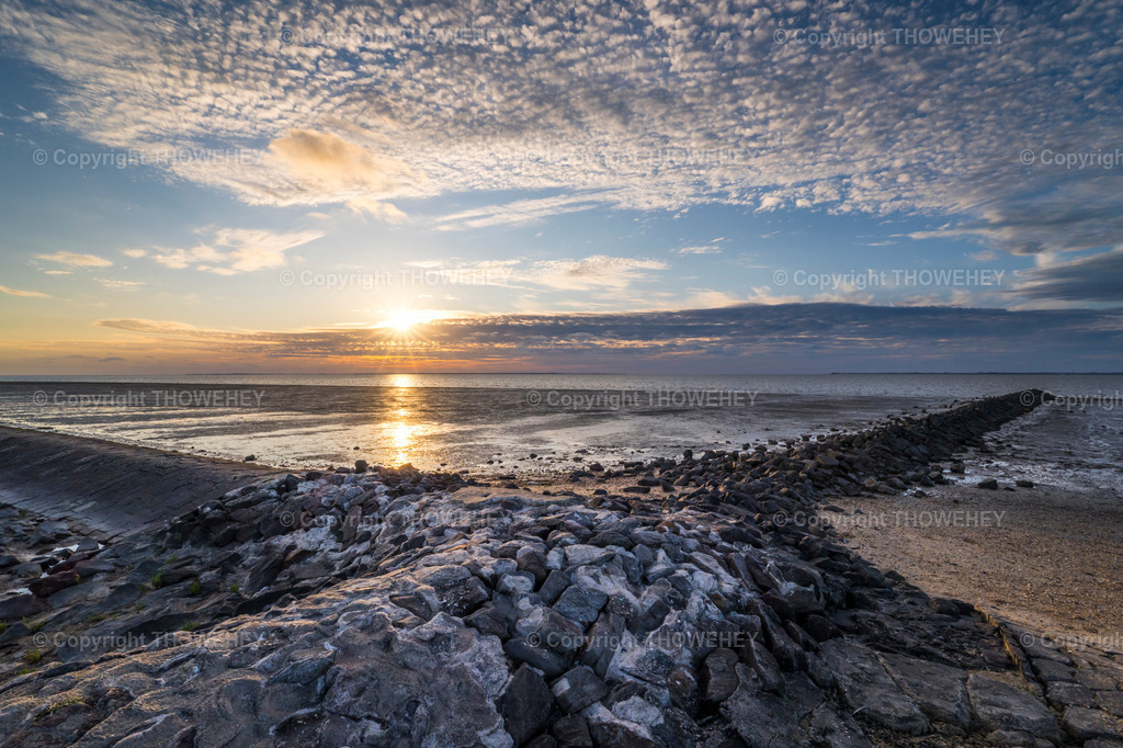 P1000202 | thowehey - Realisiert mit Pictrs.com