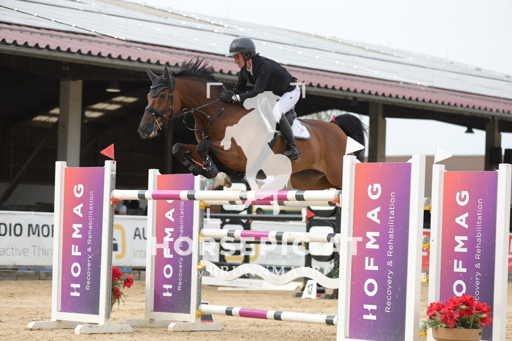 0P6A7515 | Willkommen bei Brunnmayr - Design & Fotografie – Ihrem Spezialisten für Reitturniere und Pferdeveranstaltungen in Oberösterreich, Salzburg und Bayern! Seit über 17 Jahren sind wir leidenschaftlich dabei.