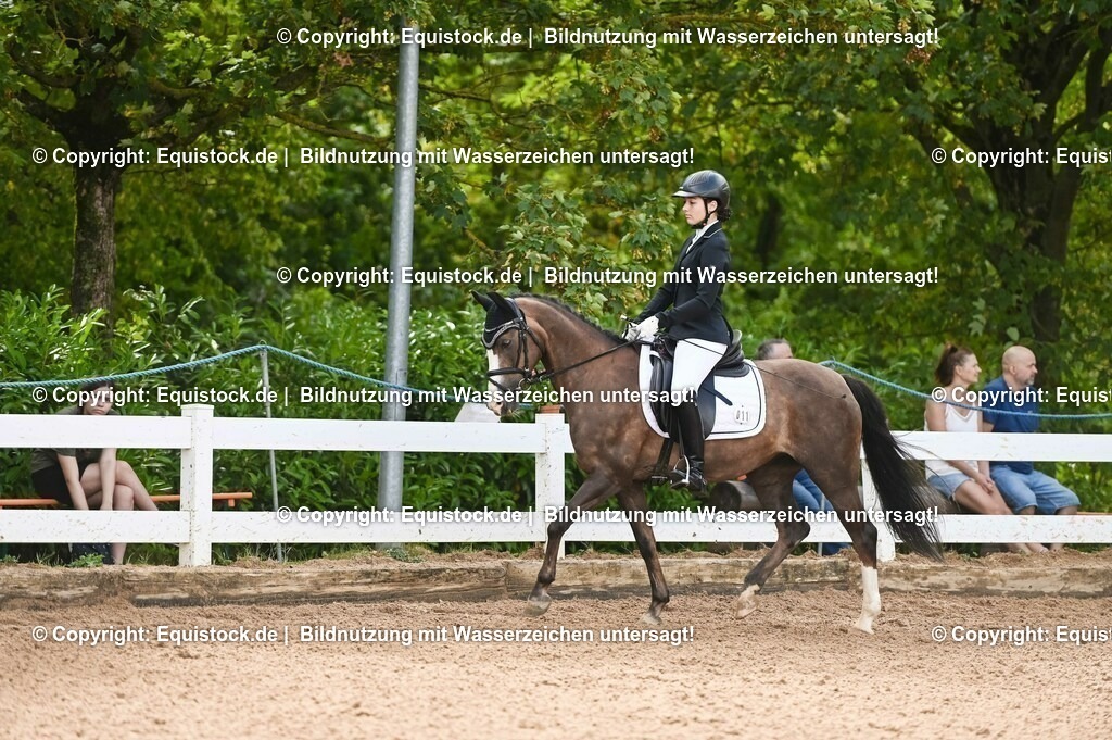 20230716_10-1_Reiter-WB Schritt - Trab - Galopp_0169 | equistock