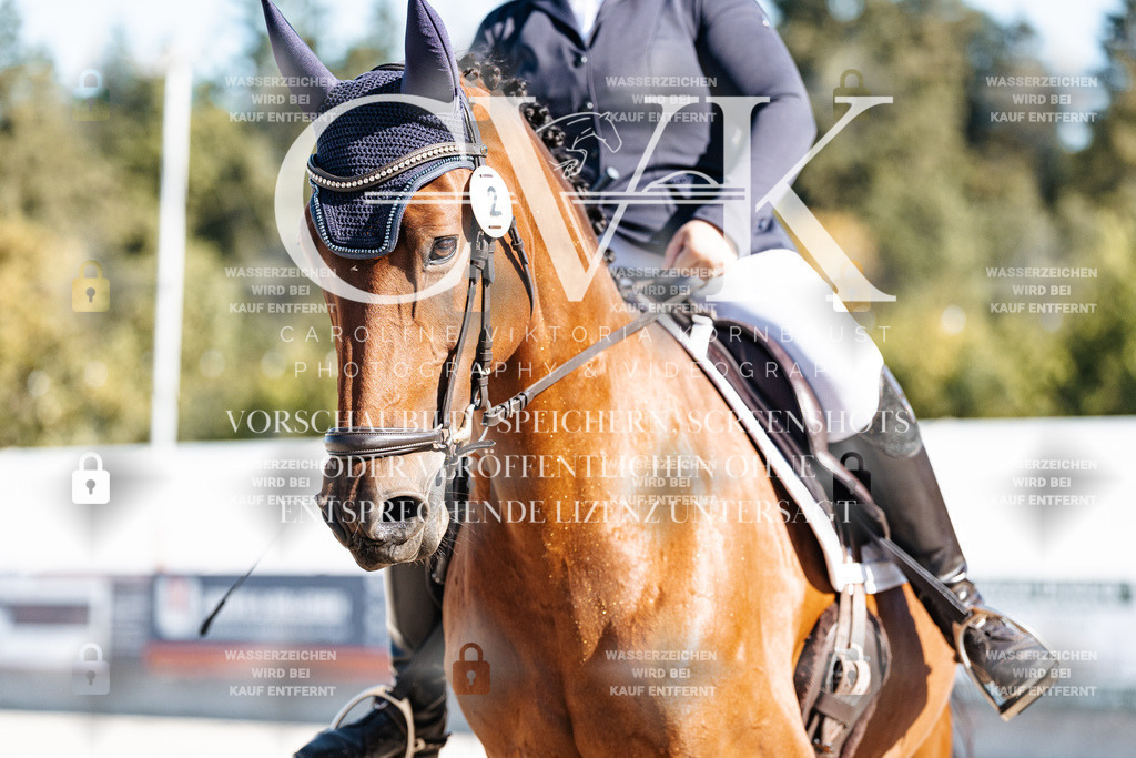 CK908023 | Turnierfotografie Pferdefotografie Trier Rheinland-Pfalz Pferdesport Reitsport Tierfotografie Sportfotografie Pferdevideo Pferdevideografie Equestrianvideography equestrianphotography  - Realisiert mit Pictrs.com