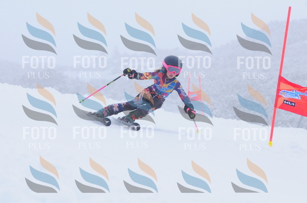 C1771 | holidayphoto