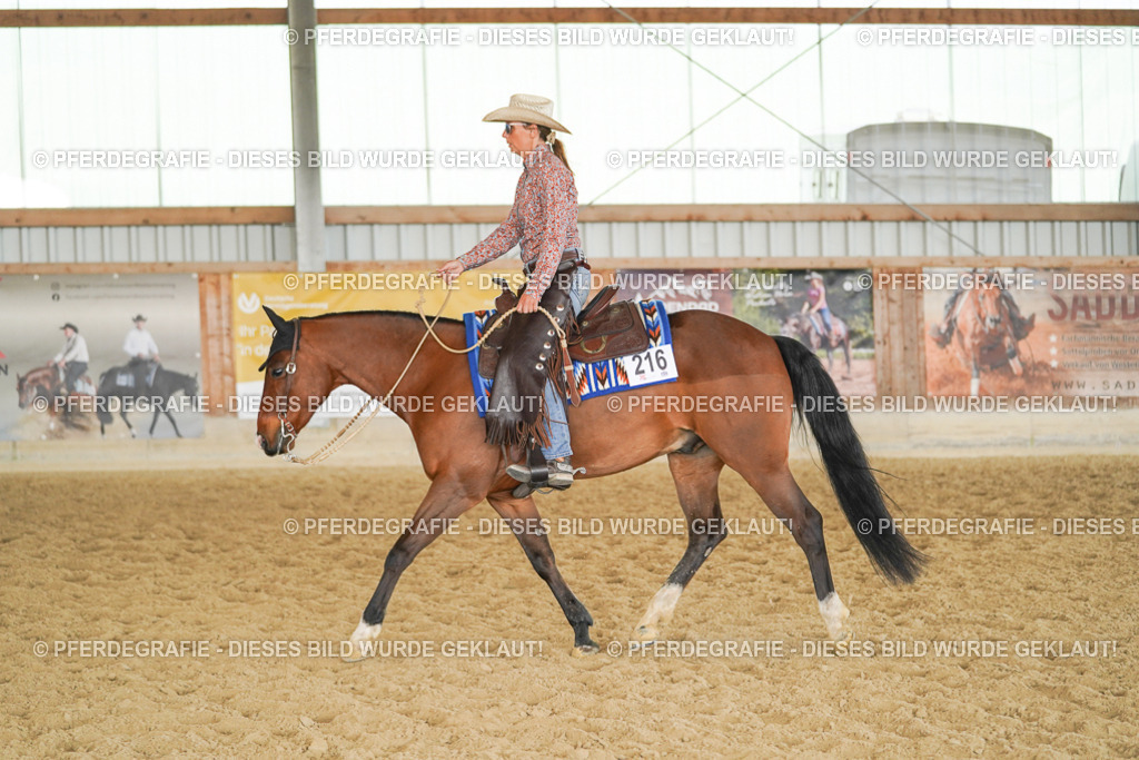 DSC01059 | Pferdegrafie