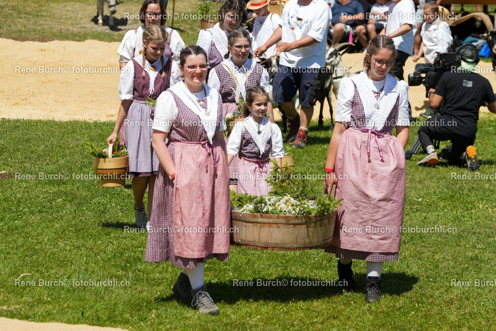 RB_00613 | René Burch leidenschaftlicher Fotograf aus Kerns in Obwalden.  Hier finden sie Sport, Landschaft und Natur Fotografie.
 - Realisiert mit Pictrs.com