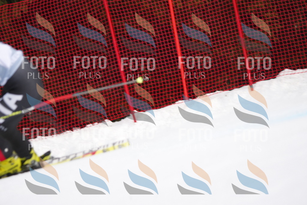 D4682 | holidayphoto