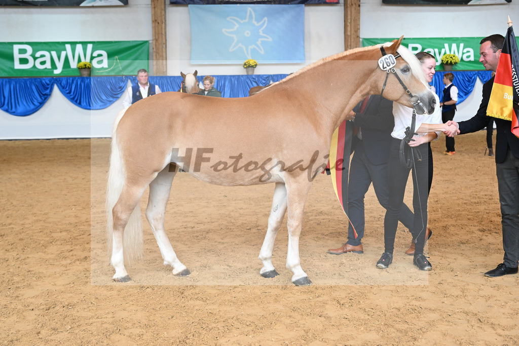 Kat-Nr. 260 Okara_Kargel_54224048 | hf-fotografie - Realisiert mit Pictrs.com