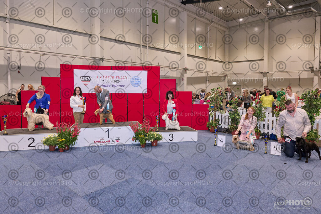 202406_ÖKV-IHA-Tulln24_NZ9_7826 | proPHOTO - Realisiert mit Pictrs.com