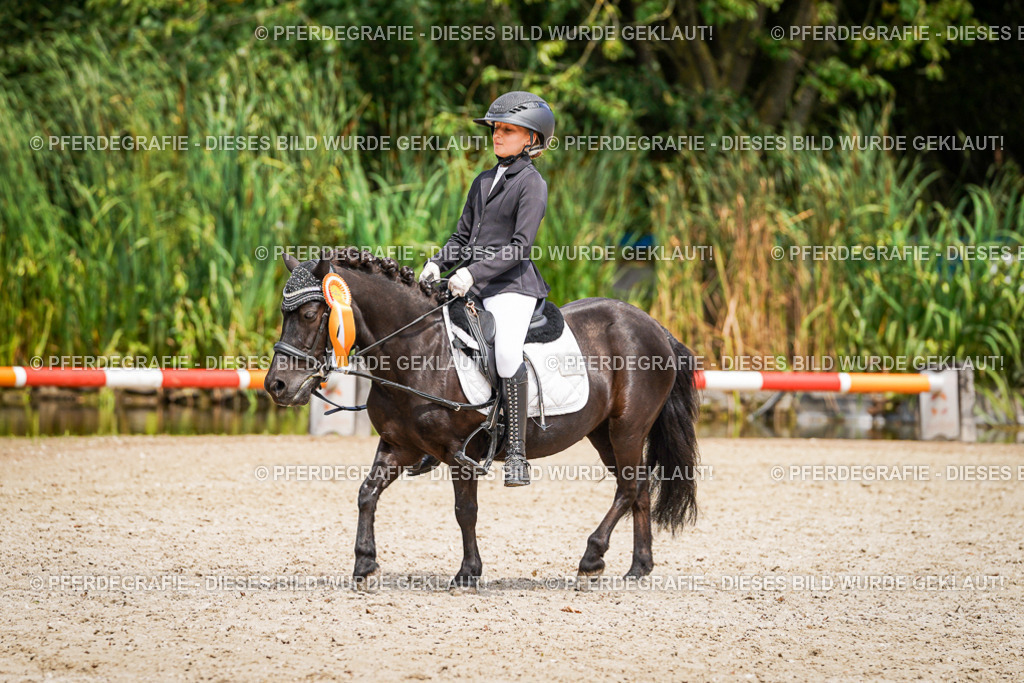 DSC02935 | Pferdegrafie