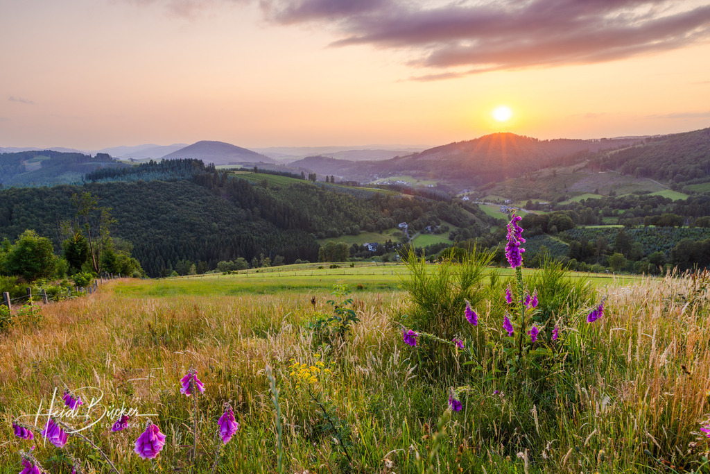 Abendstimmung im NSG auf der Sommerseite 1 | Bilder und Impressionen zu jeder Jahreszeit aus dem Sauerland im Naturpark Sauerland-Rothaargebirge - Realisiert mit Pictrs.com