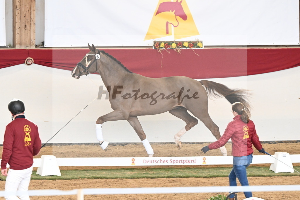 Kat.-Nr. 83 v. Valdiviani_Schult_3261190 | hf-fotografie - Realisiert mit Pictrs.com