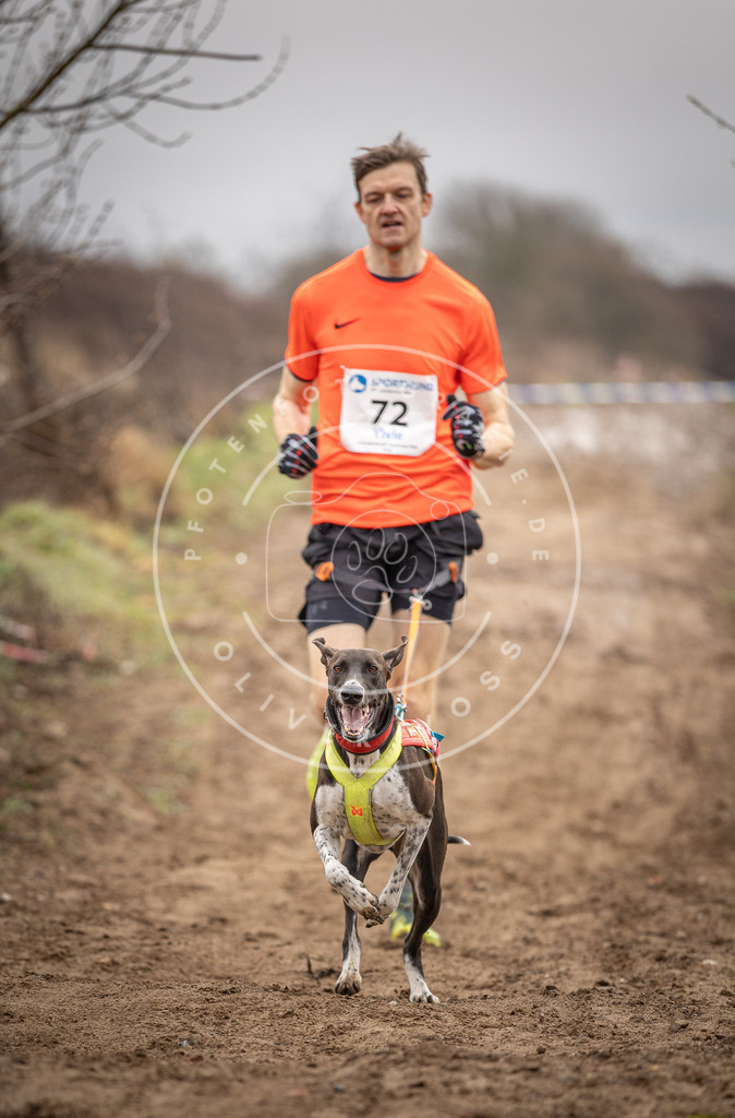 DV3A9664 | Hundefotografie, Tierfotograf, Pfotenfotografie, Fotoshooting Hund, Hunde Portrait, Hundesport, Hundeportraits, Heideshooting, Hunde, Sportfotograf, Hundefotograf, Turnierhundsport, THS,  - Realisiert mit Pictrs.com