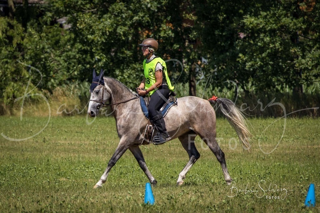 CJP_2026-06-26_02 | Stimmungsvolle Fotografie von Pferden, fotografische Begleitung von Veranstaltungen, Golfturnieren und Distanzritten - Realisiert mit Pictrs.com