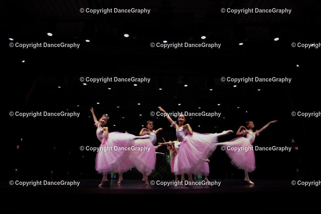 GPHY5653 | DanceGraphy - Realisiert mit Pictrs.com