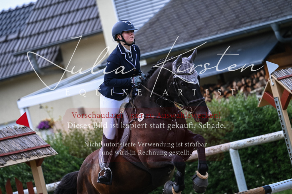 DSC_8131 | Pferde- und Turnierfotografie in Westsachsen. Pferdeportraits, Auftragszeichnungen und intuitive Kunst.
