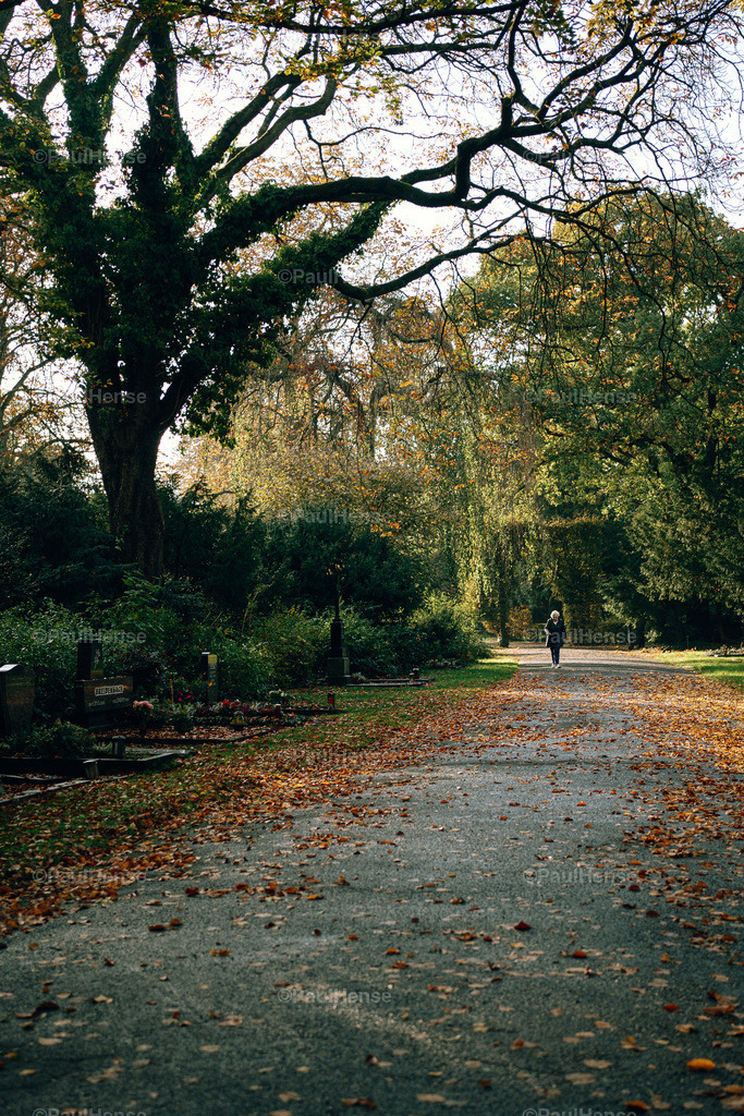 20221020_PaulHense_S0021_DSC00061 | paulhense - Realisiert mit Pictrs.com