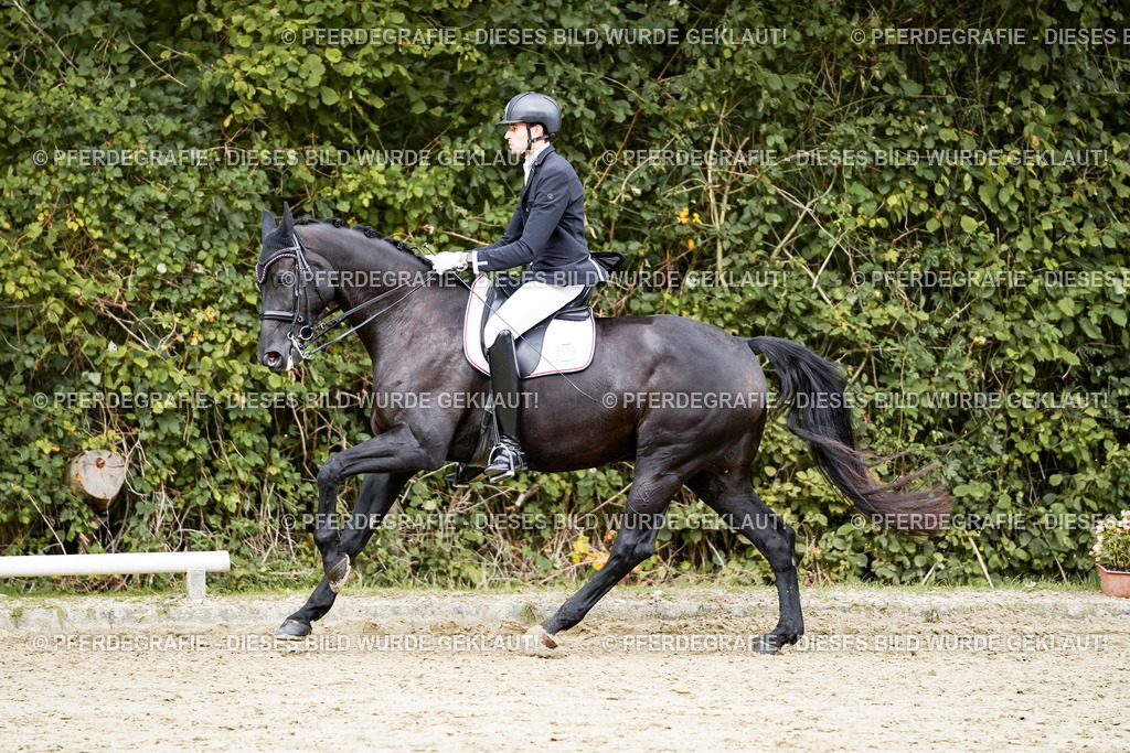 DSC05683 | Pferdegrafie