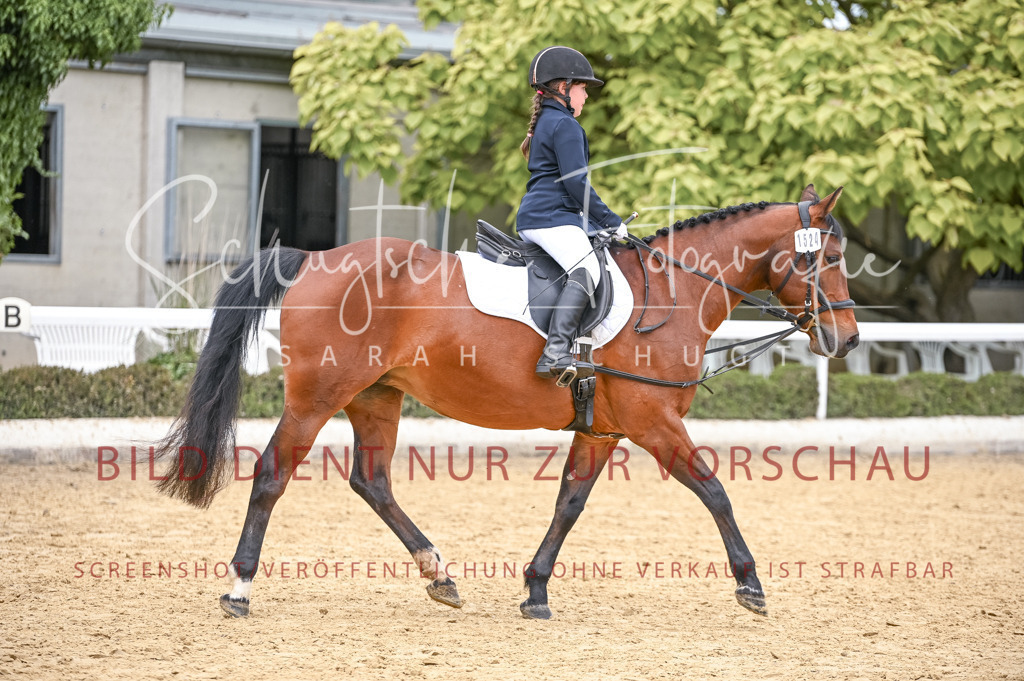 Schugtsche-Aluta25-44.DresssurreiterWB-95 | Schugtsche Fotografie - Realisiert mit Pictrs.com