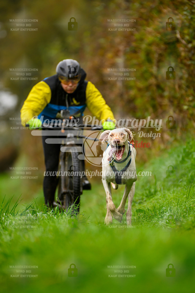 MompixPhotography_20TSB_E8_Bike-117 | PayLife