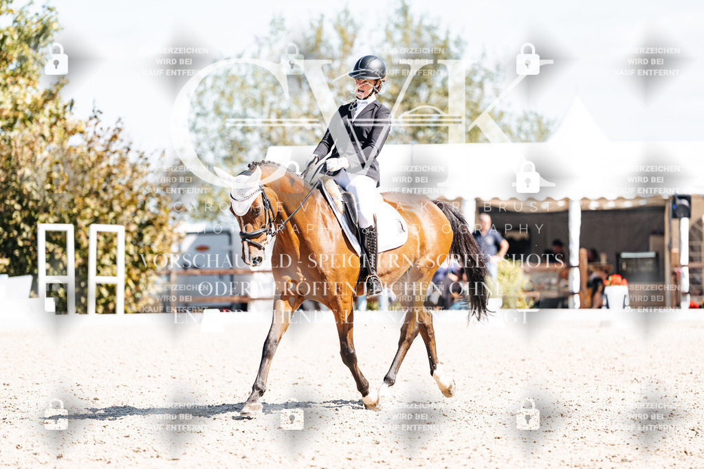 CK903668 | Turnierfotografie Pferdefotografie Trier Rheinland-Pfalz Pferdesport Reitsport Tierfotografie Sportfotografie Pferdevideo Pferdevideografie Equestrianvideography equestrianphotography  - Realisiert mit Pictrs.com