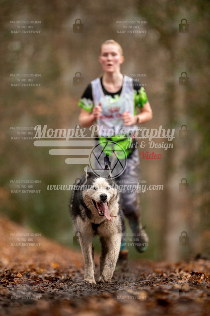 SPA_2023_DIM_CCL-69 | PayLife