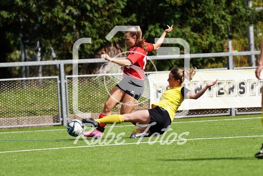 SON08395 | rabefotos