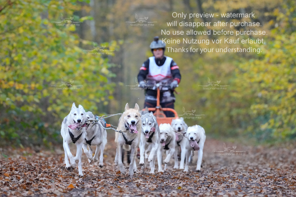 Rigs4bis8So-137 | stephaniefillaphotographie - Realisiert mit Pictrs.com