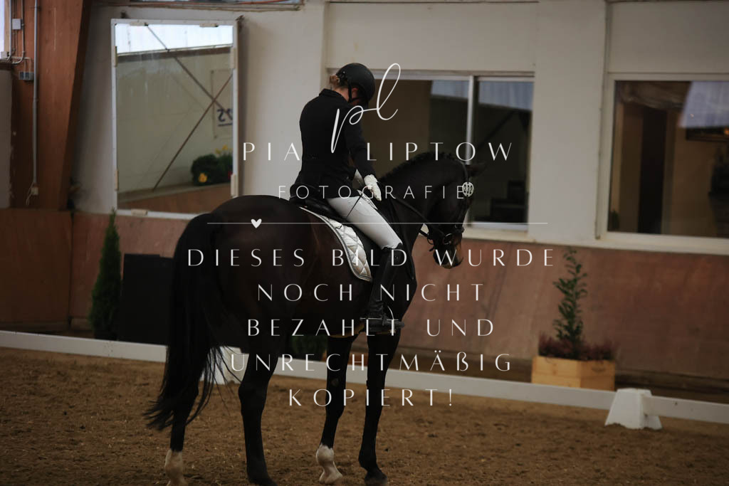 IMGT9689 | pl-fotografie